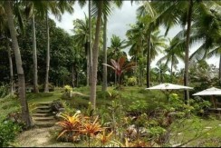 Beach Lot for Sale San Remegio Cebu